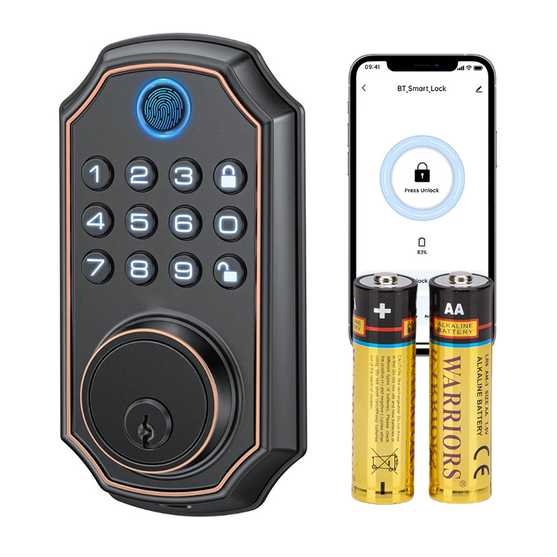 Guide de sélection de la batterie de verrouillage de porte électronique intelligent: Quelle batterie est la meilleure?