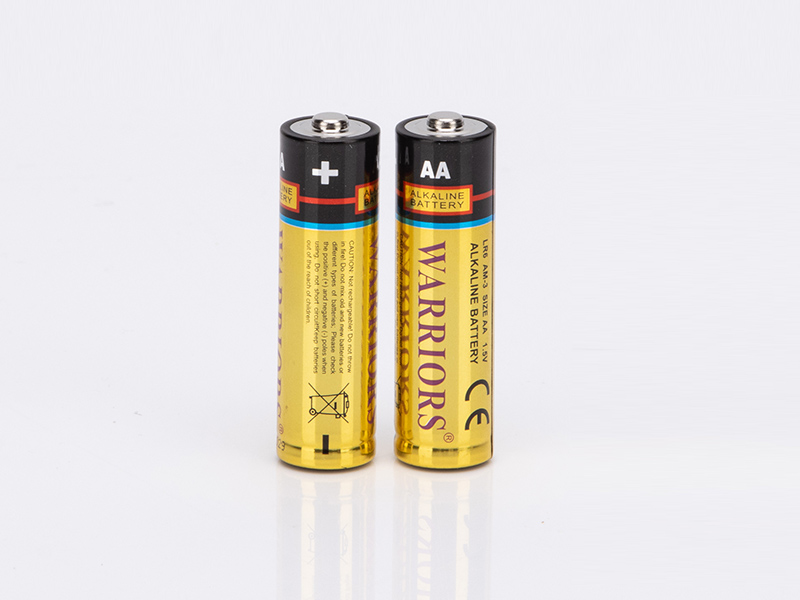 Piles alcalines Warriors 1,5 V LR6 : une puissance abordable